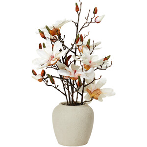 Magnolia Arrangement - Neutral