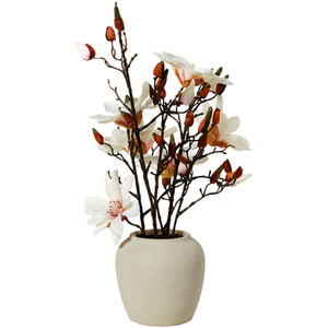 Magnolia Arrangement - Neutral - Image 2