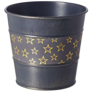 Gold Star Lined Tin Pot