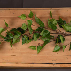 Natural Greenery Branch Spray - Green - Image 2