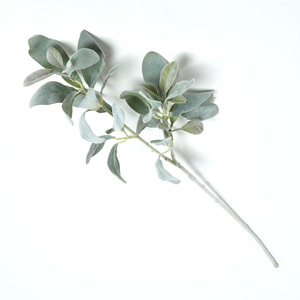 Lambs Ear Foliage 70 cm - Green