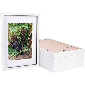 3D Box Photo Frames with A4 Mounts - A3 (12" x 17") - Pack of 5