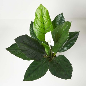 Homescapes Artificial Peace Lily Plant In Pot 90 cm Tall Spathe Flower - White - Image 2